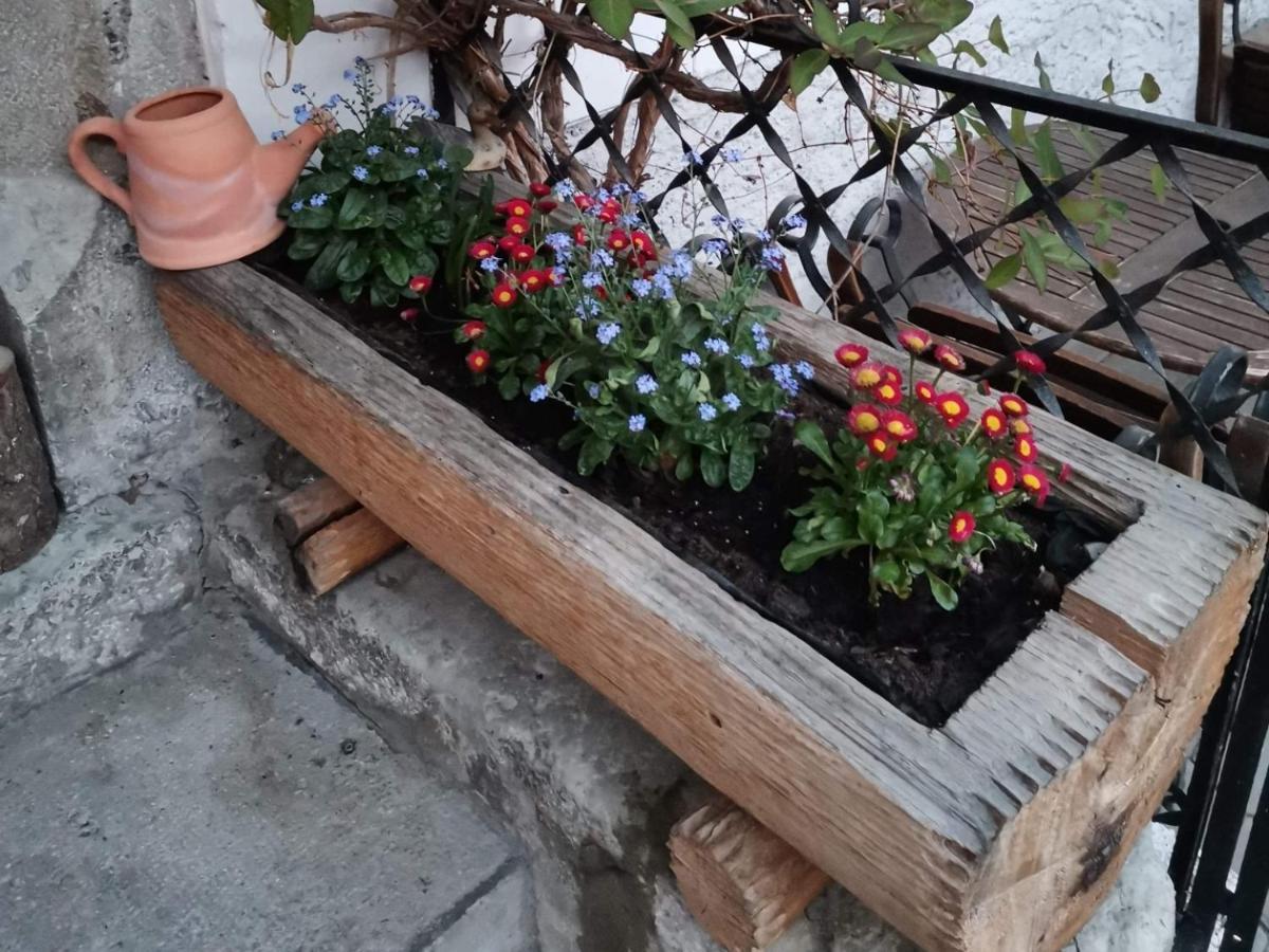 Pension Leopoldine Hallstatt Bagian luar foto
